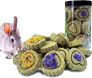FIPASEN Juguetes para Masticar Conejos