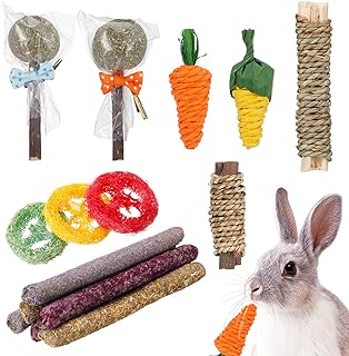15 Piezas Juguetes para Masticar Conejos