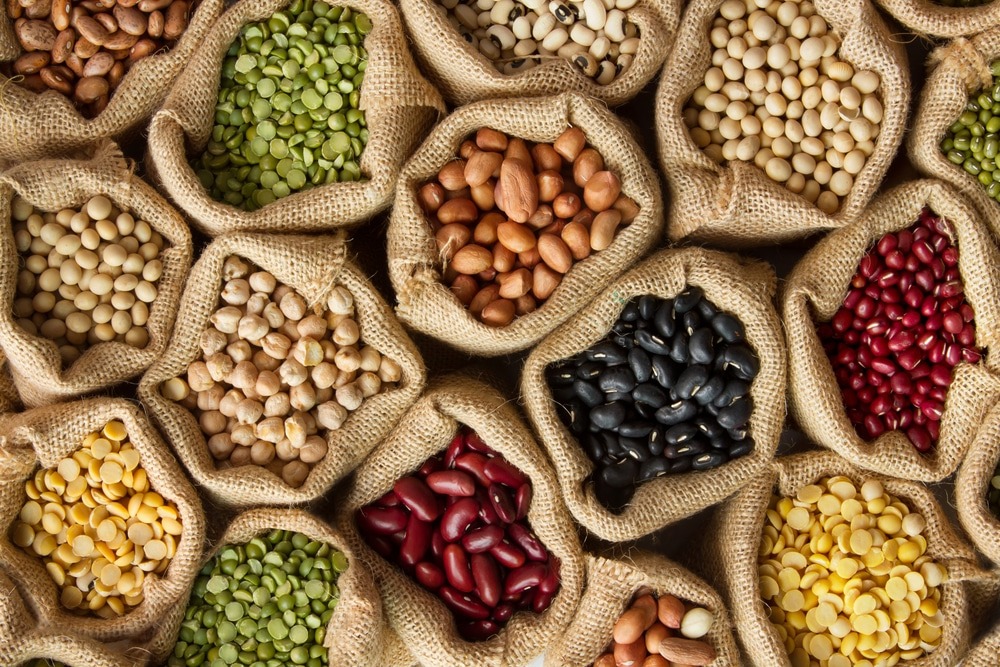 Cómo incorporar más alimentos veganos en tu dieta diaria