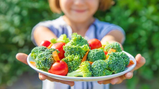 Recetas veganas para niños que no les gustan las verduras