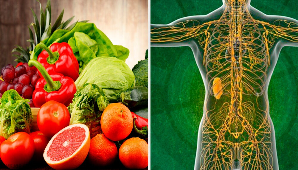 "Alimentos veganos para mejorar la salud del sistema linfático"