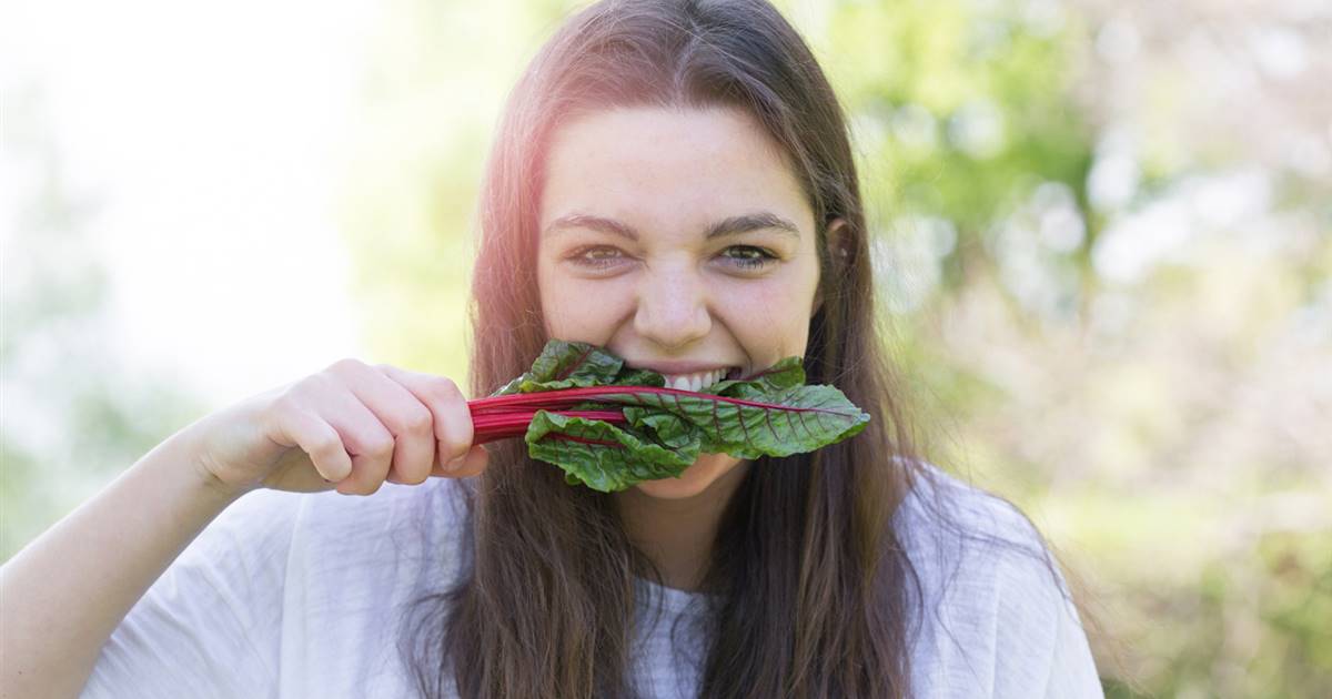 Consejos para mantener una dieta vegana equilibrada en la adolescencia