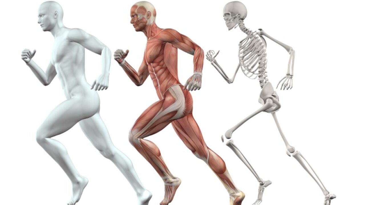 Los mejores alimentos veganos para fortalecer los huesos y prevenir la osteoporosis
