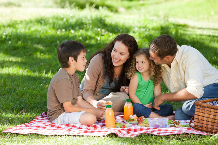 Cómo preparar bocadillos veganos para picnics al aire libre