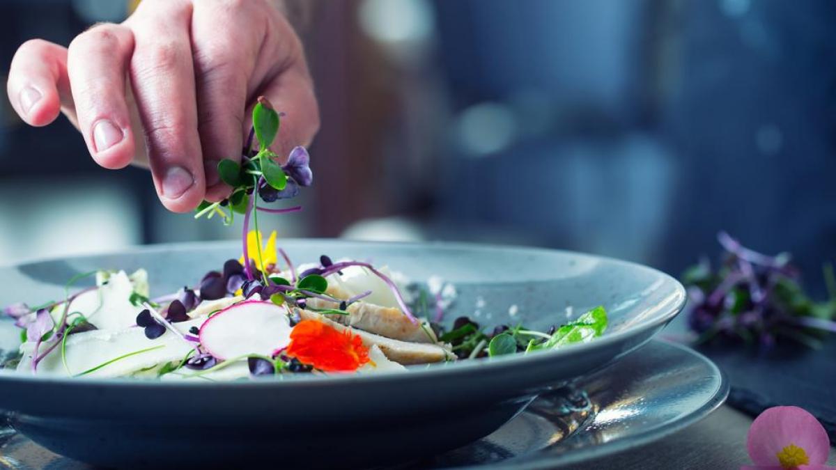 Consejos para una cena vegana gourmet en un restaurante de alta cocina