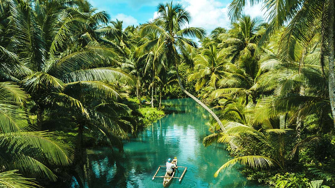 climas tropicales:
